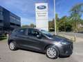 Ford Fiesta Connected M6 OC0531 *11027* Gris - thumbnail 6