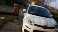 Fiat New Panda lounge - thumbnail 4