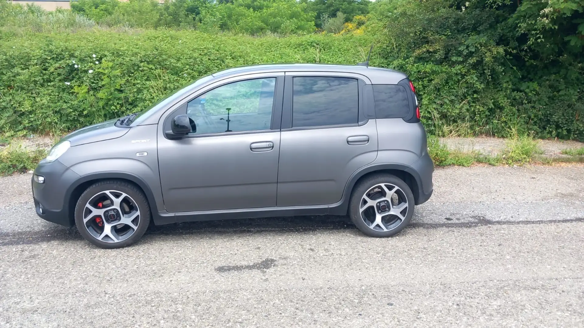 Fiat Panda 1.0 firefly hybrid Sport s&s 70cv 5p.ti Grigio - 2