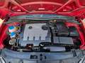 SEAT Leon 1.6TDI CR Reference Rojo - thumbnail 13