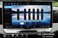 Volkswagen Passat Variant Passat Elegance 2.0 TDI HUD Harman Kardon DCC Navi Grau - thumbnail 22