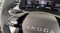 Skoda Kamiq Selection Winterpak. DSG Rückfahrkam. Zwart - thumbnail 19