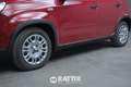 Fiat Panda 1.0 Firefly Hybrid 70CV Rot - thumbnail 4