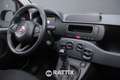 Fiat Panda 1.0 Firefly Hybrid 70CV Rot - thumbnail 15