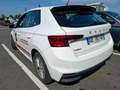 Skoda Fabia Ambition 1.0TSI LED PDC Alu Klima Kessy Blanc - thumbnail 4