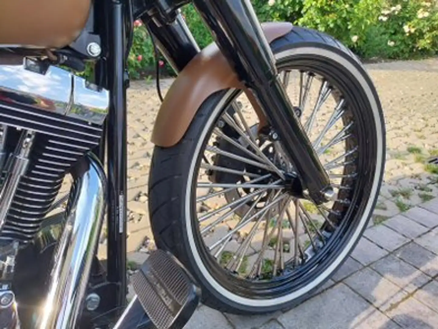 Harley-Davidson Heritage Softail FLSTC Heritage Softail Custom Коричневий - 2