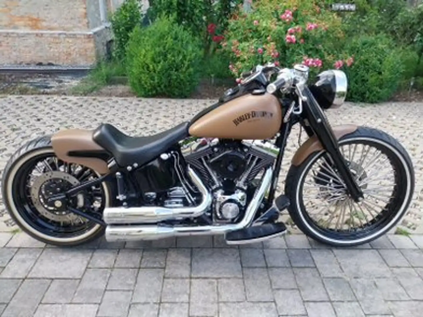 Harley-Davidson Heritage Softail FLSTC Heritage Softail Custom Коричневий - 1