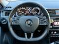Skoda Rapid/Spaceback Rapid Spaceback 1,0 TSI Sport Grau - thumbnail 19