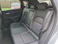 Nissan Qashqai 1,3 MHEV 4x4 Autom. Tekna *ab € 23.990,-* Grau - thumbnail 13