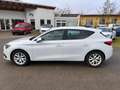 SEAT Leon Style 1.5 TGI DSG CNG Erdgas Navi LED SHZ PLA 1.Hd Weiß - thumbnail 22