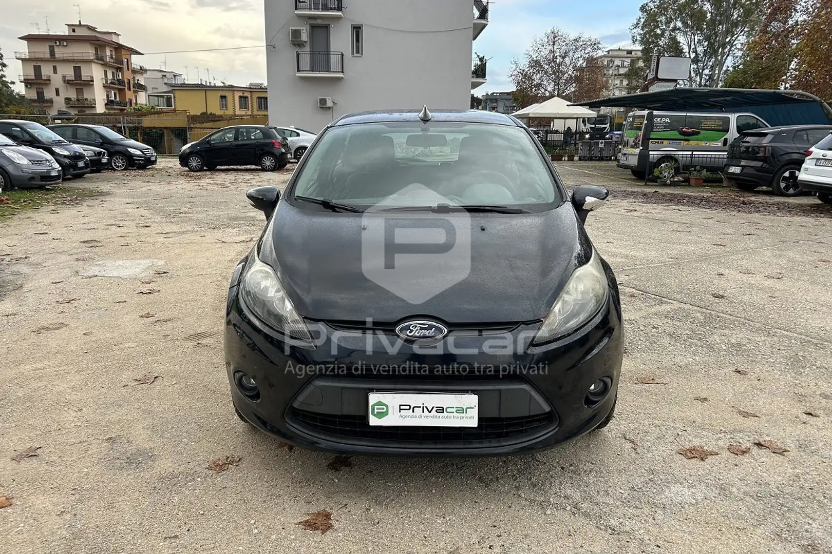 Ford Fiesta Fiesta 1.4 TDCi 70CV 5 porte Titanium Nero - 2