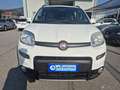 Fiat Panda 4X4 0.9 TURBO Blanc - thumbnail 2