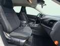 Nissan Qashqai DIG-T 103kW (140CV) mHEV 4x2 Acenta Blanco - thumbnail 13