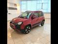 Fiat Panda 1.0 firefly hybrid Cross s&s 70cv 5p.ti Rosso - thumbnail 3