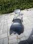 Triumph Thunderbird LT 1600 cc Bleu - thumbnail 5