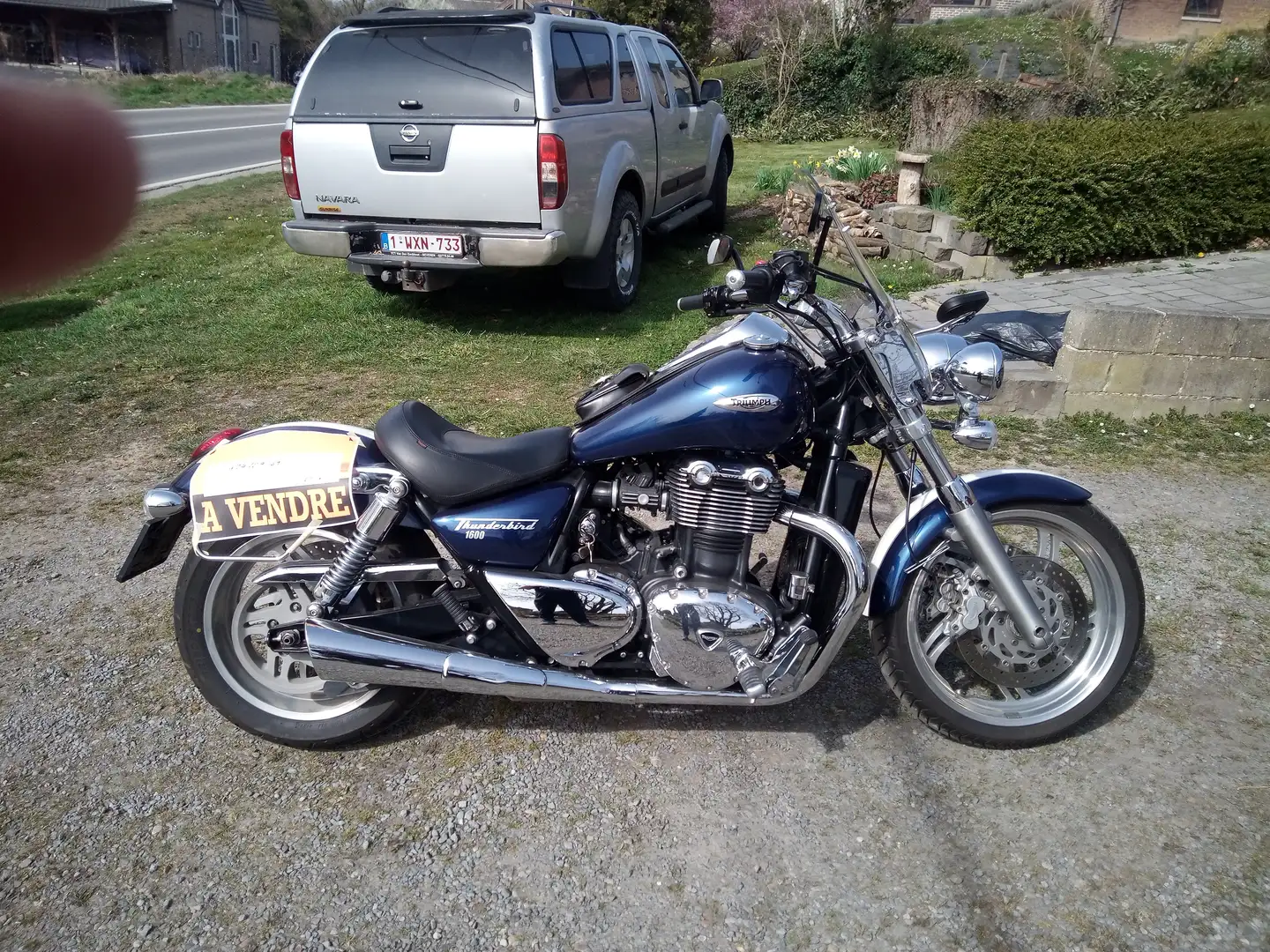 Triumph Thunderbird LT 1600 cc Bleu - 2
