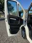 Citroen Jumper jumper 30 BlueHDi 140 S&S L1-H1 Furgone Blanco - thumbnail 16