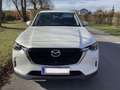 Mazda CX-60 Mazda CX-60 2.5L e-SKYACTIV PHEV AWD EXCL. Aut. elektr. AHK SUV / Geländewagen Weiß - thumbnail 4