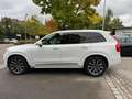 Volvo XC90 Inscription AWD/AppleCarPlay/Navi/AHK Blanc - thumbnail 9