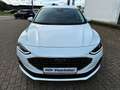 Ford Focus FOCUS TITANIUM DESIGN MHEV Sync4+LED+RFK+DAB+WiR Weiß - thumbnail 3