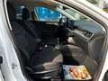 Ford Focus FOCUS TITANIUM DESIGN MHEV Sync4+LED+RFK+DAB+WiR Weiß - thumbnail 14