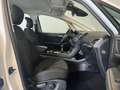 Ford S-Max Trend *AHK-PDC-Klima* Weiß - thumbnail 15
