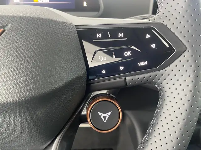 Cupra Tavascan view 15