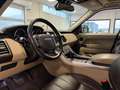 Land Rover Range Rover Sport 3.0 tdV6 HSE Dynamic auto Nero - thumbnail 8