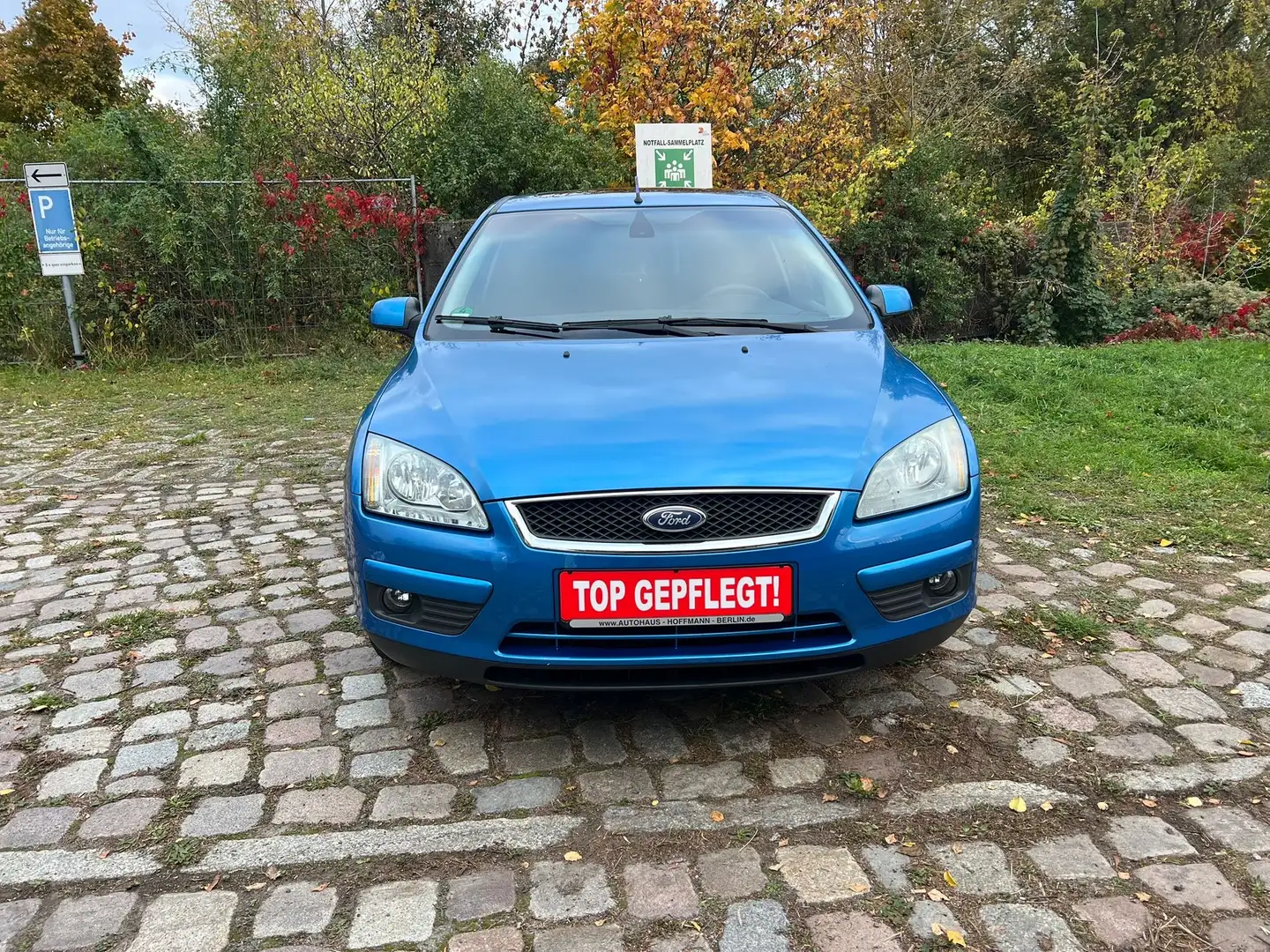 Ford Focus Ambiente Blau - 1