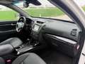 Kia Sorento 2,2 CRDi Active Pro 4WD Aut. ID:61 Weiß - thumbnail 8