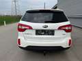 Kia Sorento 2,2 CRDi Active Pro 4WD Aut. ID:61 Weiß - thumbnail 6