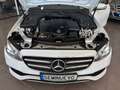 Mercedes-Benz E 220 220d 9G-Tronic 194 Blanc - thumbnail 20