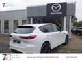 Mazda CX-60 PHEV HOMURA Leder|BOSE|Panorama|MatrixLED Weiß - thumbnail 4