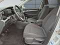 Volkswagen Golf VIII 2.0 TDI Life *LED*NAVI*DAB+*SHZ*PDC*APP-CONNECT* Weiß - thumbnail 8