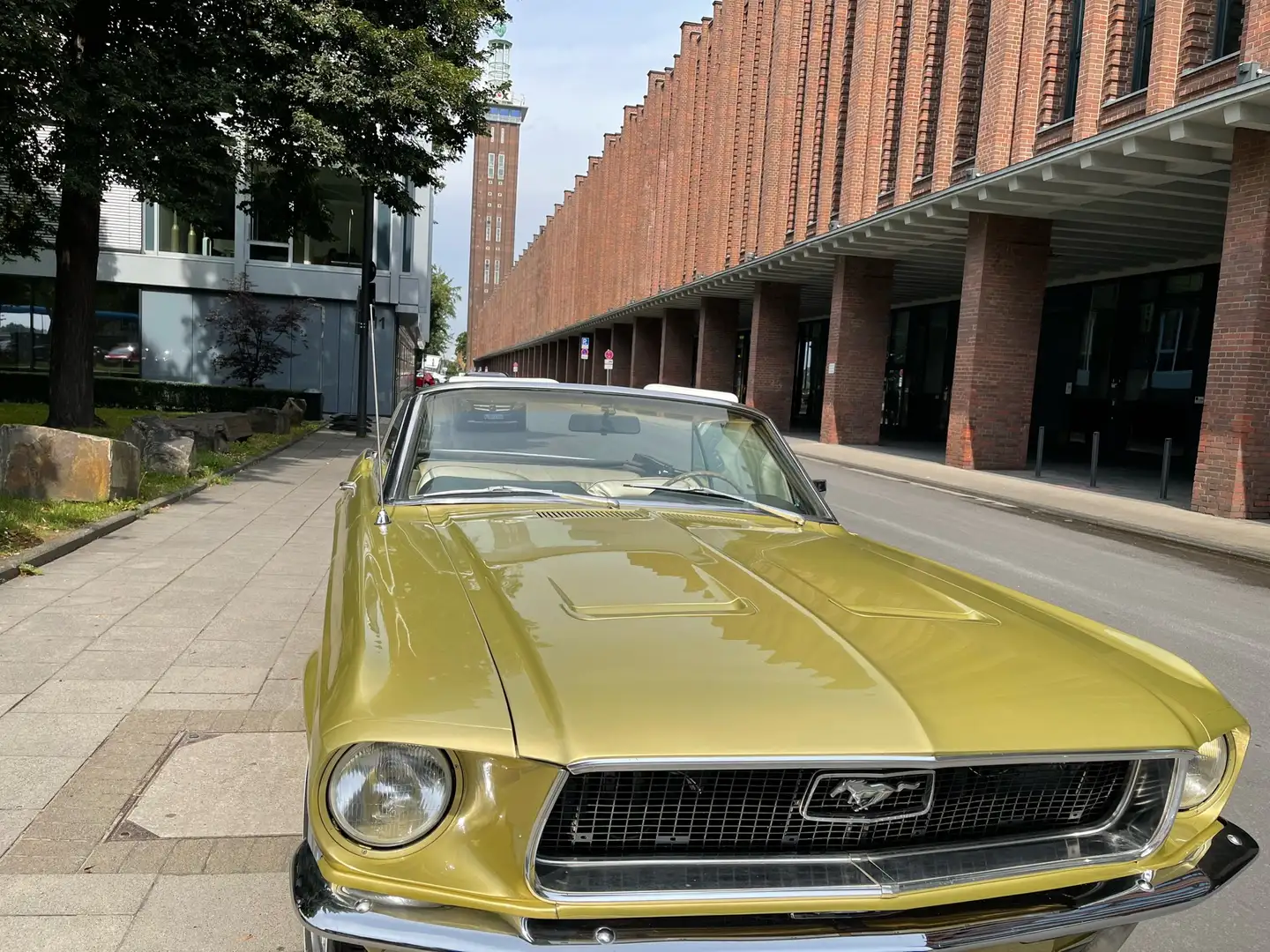 Ford Mustang Cabriolet Altın - 2
