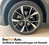 Volkswagen Tiguan R-Line TDI 4MOTION DSG Grau - thumbnail 4