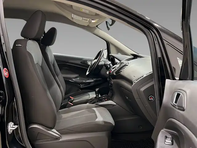 Ford Ecosport view 12