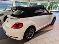 Volkswagen Beetle Cabriolet 1.2 TSI. Bi-Xenon+App+Navi Blanc - thumbnail 5