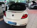 Volkswagen Beetle Cabriolet 1.2 TSI. Bi-Xenon+App+Navi Blanc - thumbnail 6