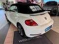 Volkswagen Beetle Cabriolet 1.2 TSI. Bi-Xenon+App+Navi Blanc - thumbnail 7