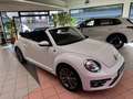 Volkswagen Beetle Cabriolet 1.2 TSI. Bi-Xenon+App+Navi Blanc - thumbnail 9