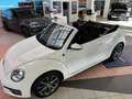 Volkswagen Beetle Cabriolet 1.2 TSI. Bi-Xenon+App+Navi Blanc - thumbnail 8