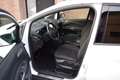 Ford C-Max Grand 1.0 EcoBoost - BLUETOOTH / CR-CONTR Bianco - thumbnail 3