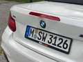 BMW 240 M240i xDrive Cabrio Aut. Weiß - thumbnail 8