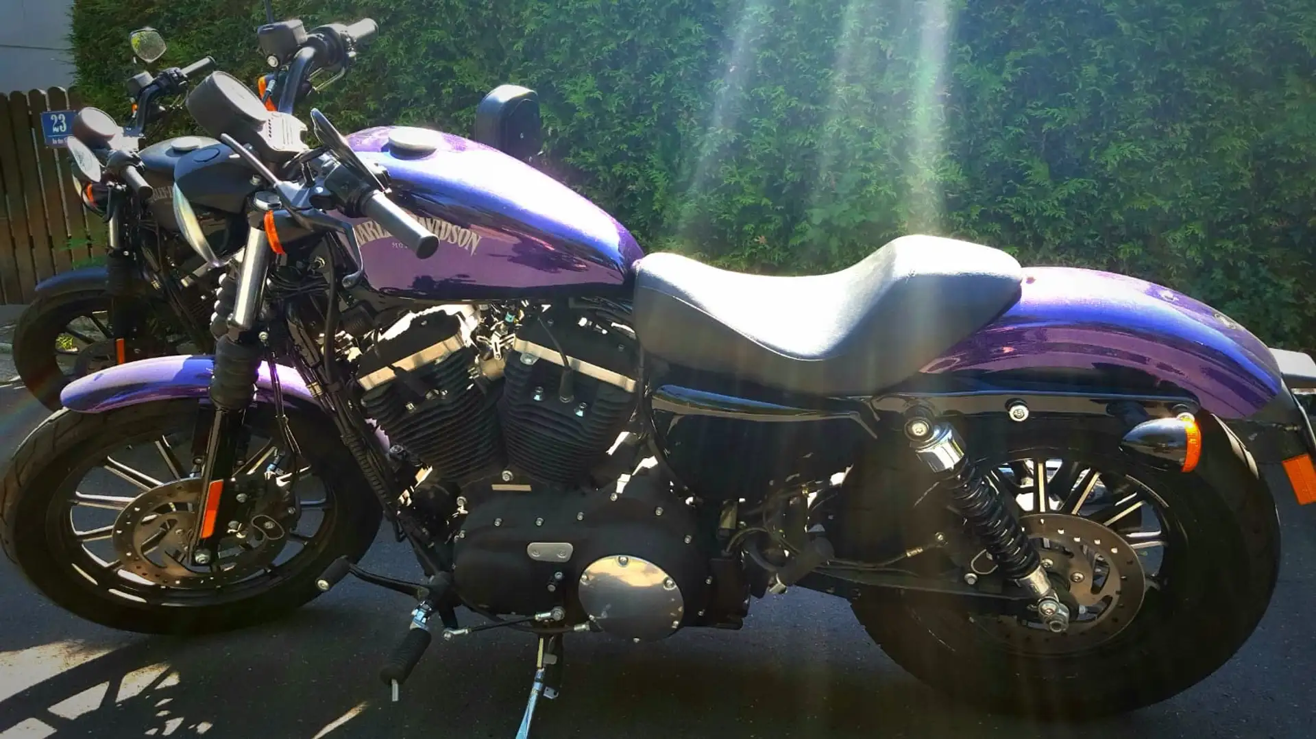 Harley-Davidson Iron 883 Sportsler woodoo purple Lila - 1