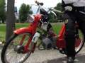 Zündapp Bergsteiger M50 Roşu - thumbnail 3