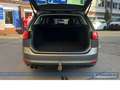 Volkswagen Golf Variant Cup BMT 4Motion*SHZ*PDC*AHK*Tempo* Gris - thumbnail 11