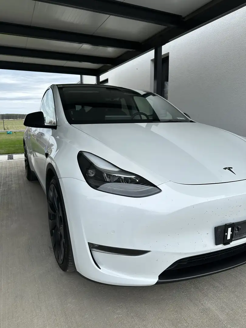 Tesla Model Y AWD 79kWh Performance / 8 Felgen - 8 Reifen Weiß - 1