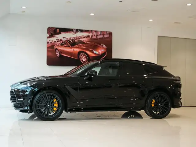 Aston Martin DBX view 15