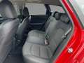 Kia Ceed SW / cee'd SW CEED Sportswagon Spirit 1.5T LED+Glasdach+SHZ Rot - thumbnail 10